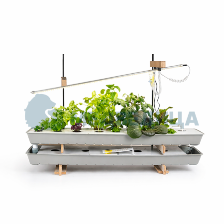 Комплект лабораторного оборудования  «Растения и их среда обитания»